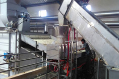 Dehydrated Onion Manufacturer